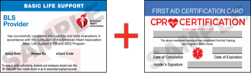 Sample American Heart Association AHA BLS CPR Card Certification and First Aid Certification Card from CPR Certification Nashville