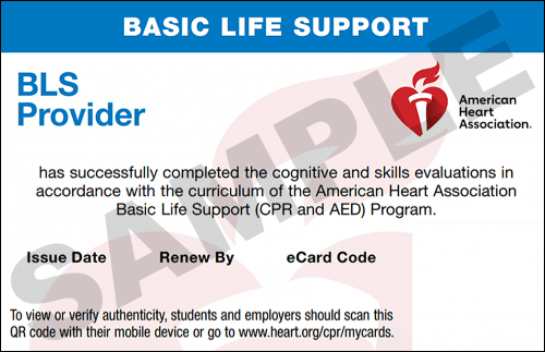 Sample American Heart Association AHA BLS CPR Card Certification from CPR Certification Nashville