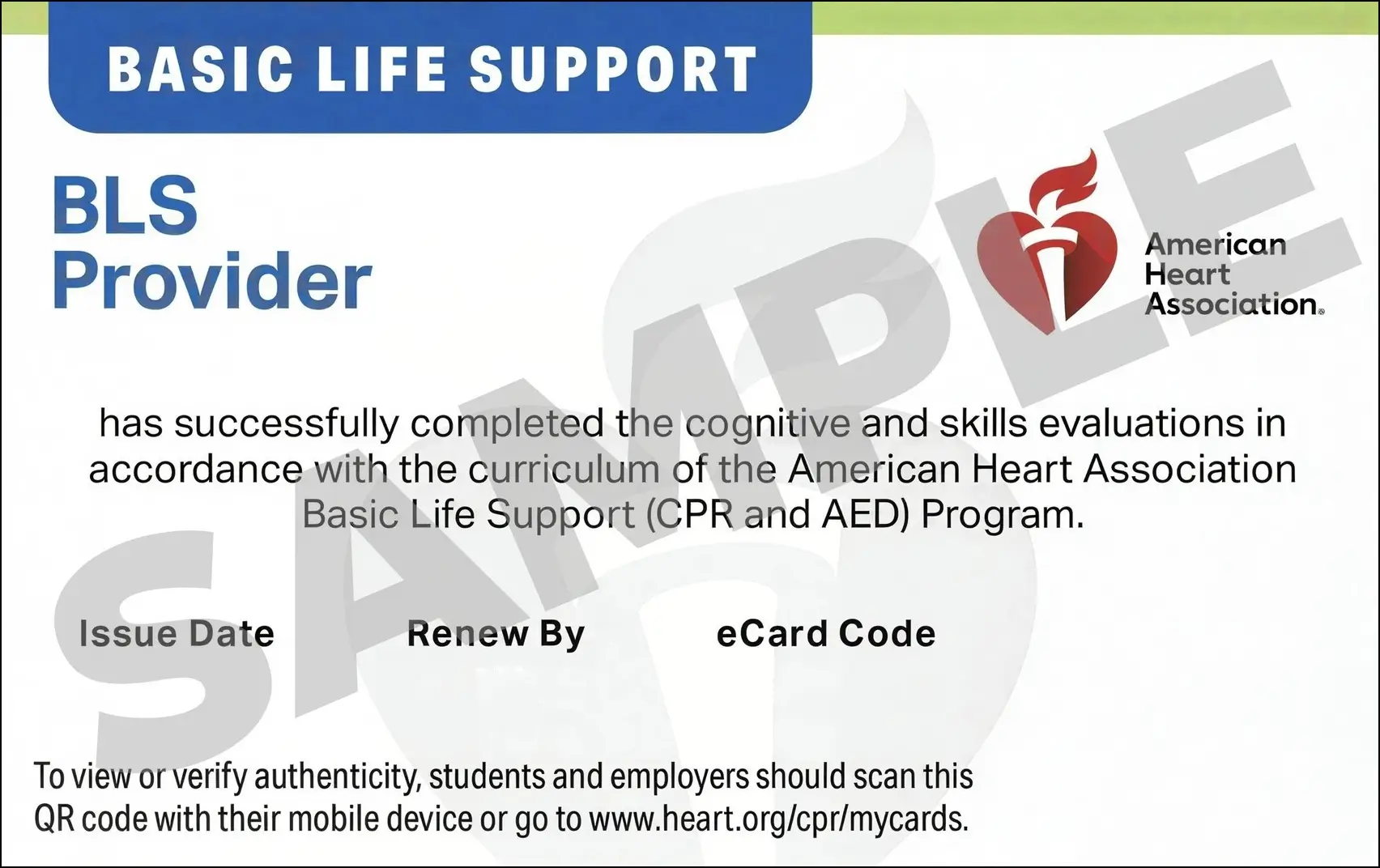 Sample American Heart Association AHA BLS CPR Card Certification from CPR Certification Nashville